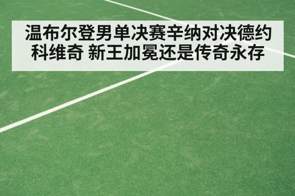 温布尔登男单决赛辛纳对决德约科维奇 新王加冕还是传奇永存