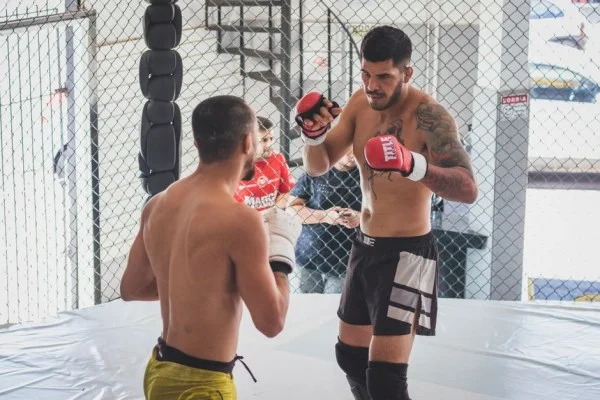 mixed martial arts cage fight