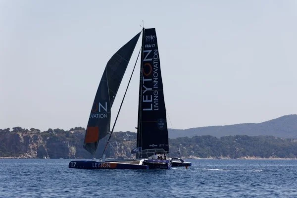 sailing catamaran racing